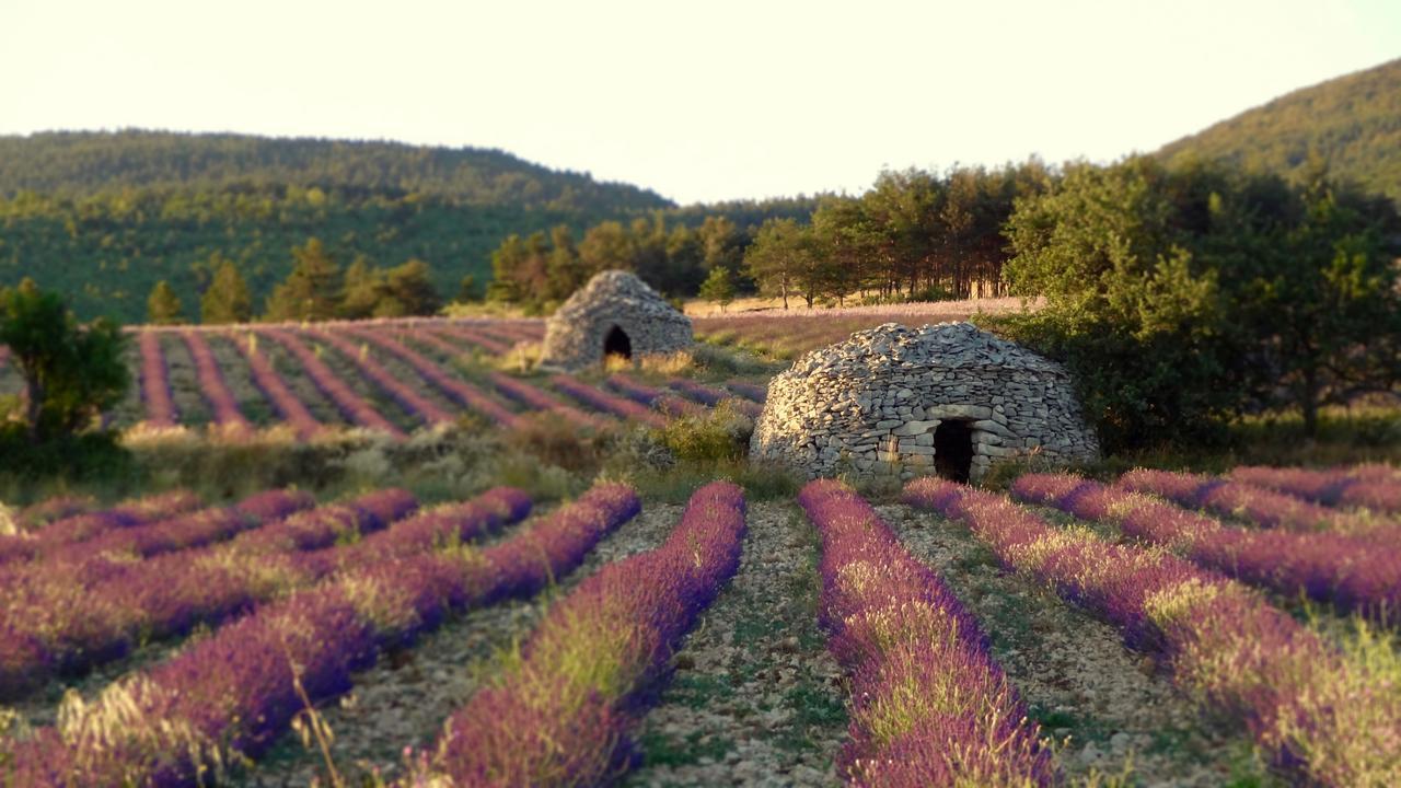 Chateau Ferrassieres Eksteriør bilde
